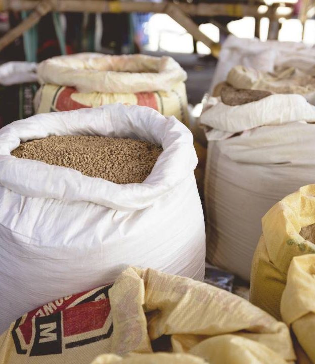 closeup-shot-of-grains-in-a-bag-with-a-blurred-bac-2026-01-07-07-17-17-utc